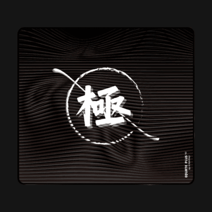 X-raypad Equate Plus V2 Kiwami black