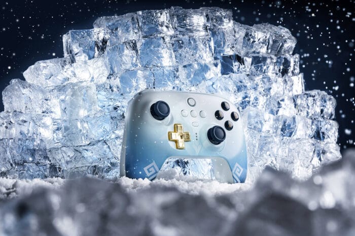 DSC06329 Ultimate 2.4G Wireless Controller - Chongyun