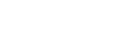vgn logo