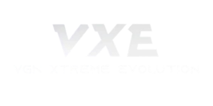 vxe brand