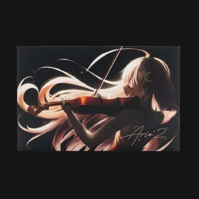 Moondrop Aria 2 IEM 5 Moondrop Aria 2 box